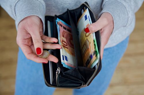 Offenen Brieftasche mit Geldscheinen